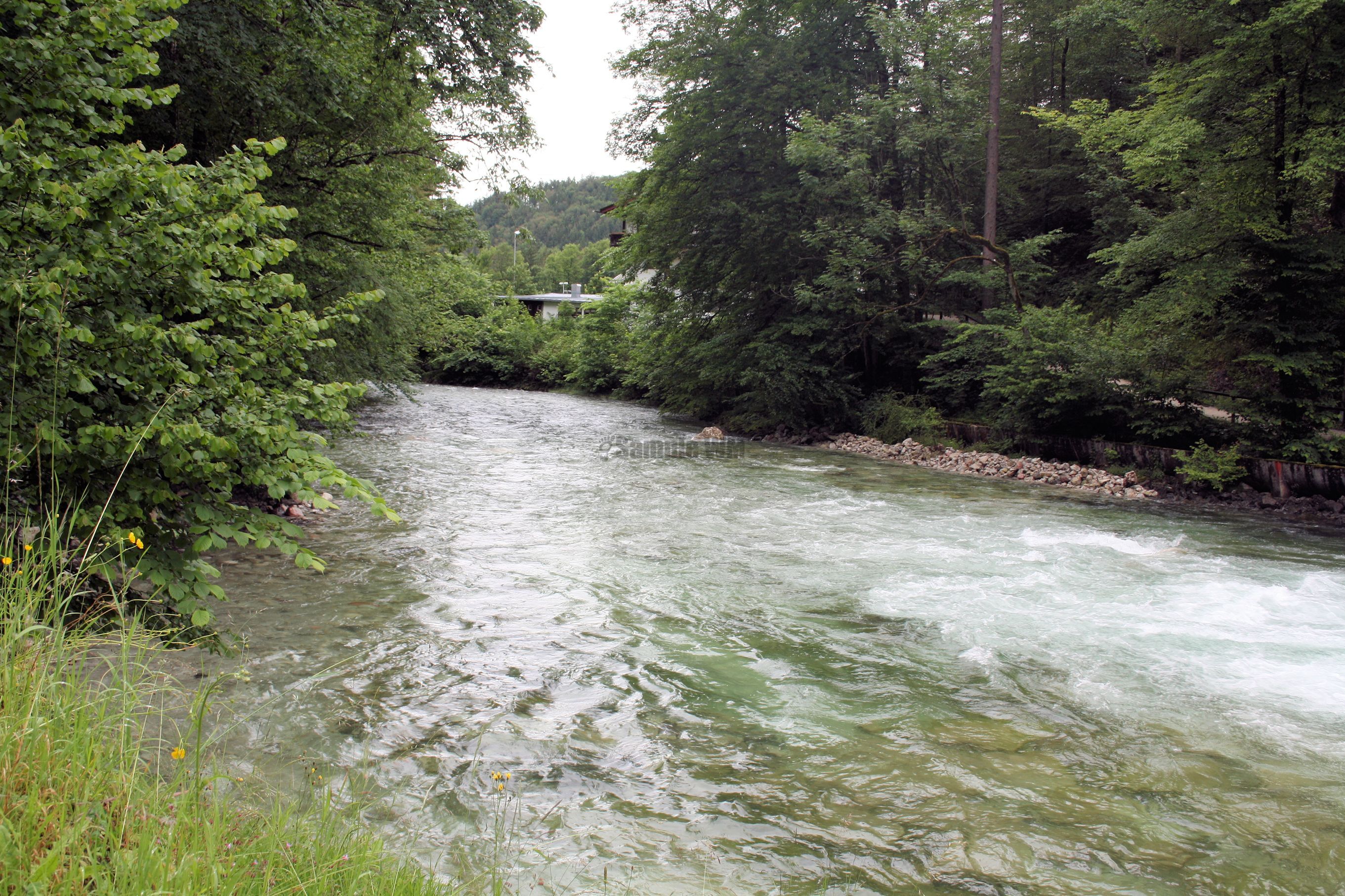 IMG_7373.jpg