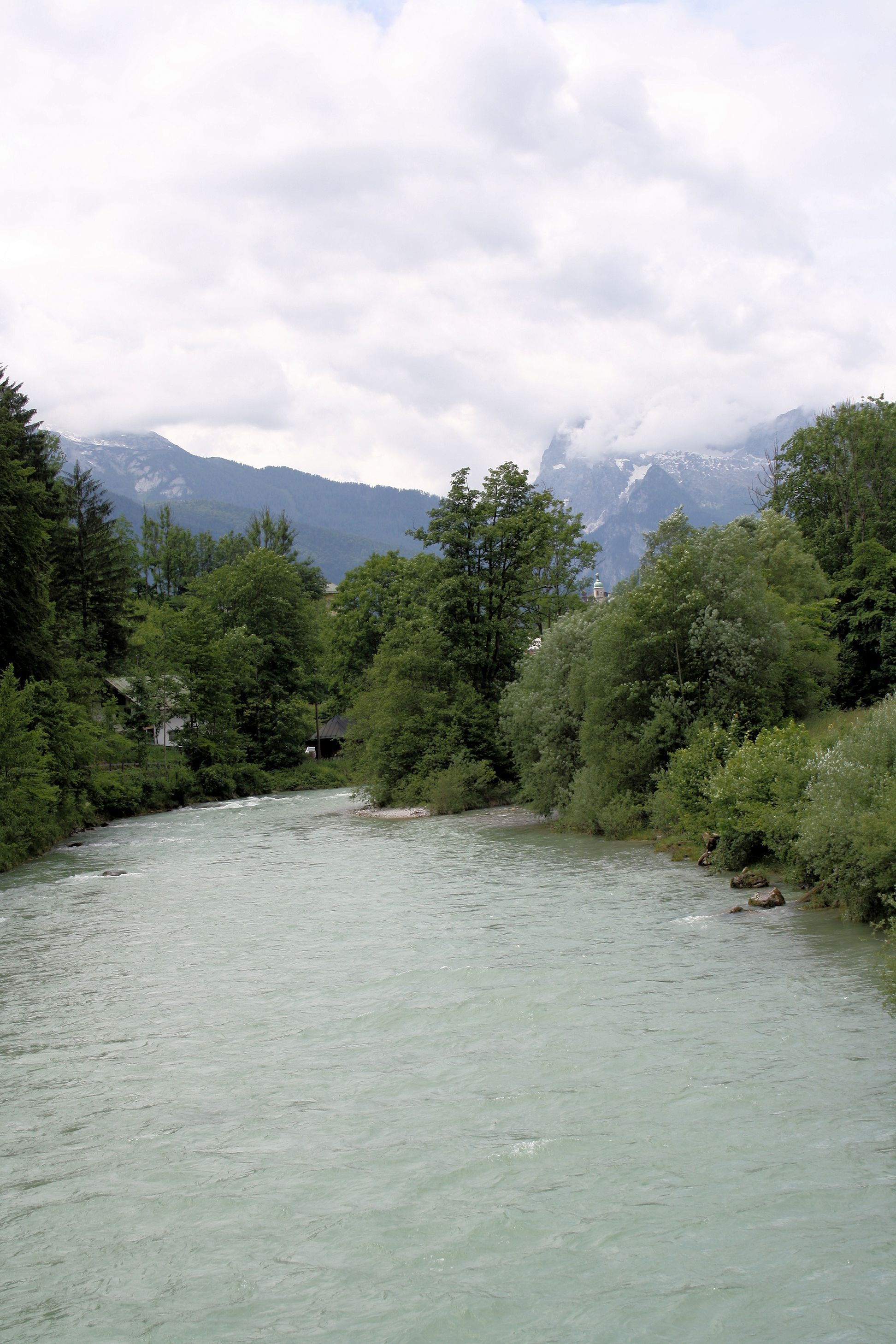 IMG_7429.jpg