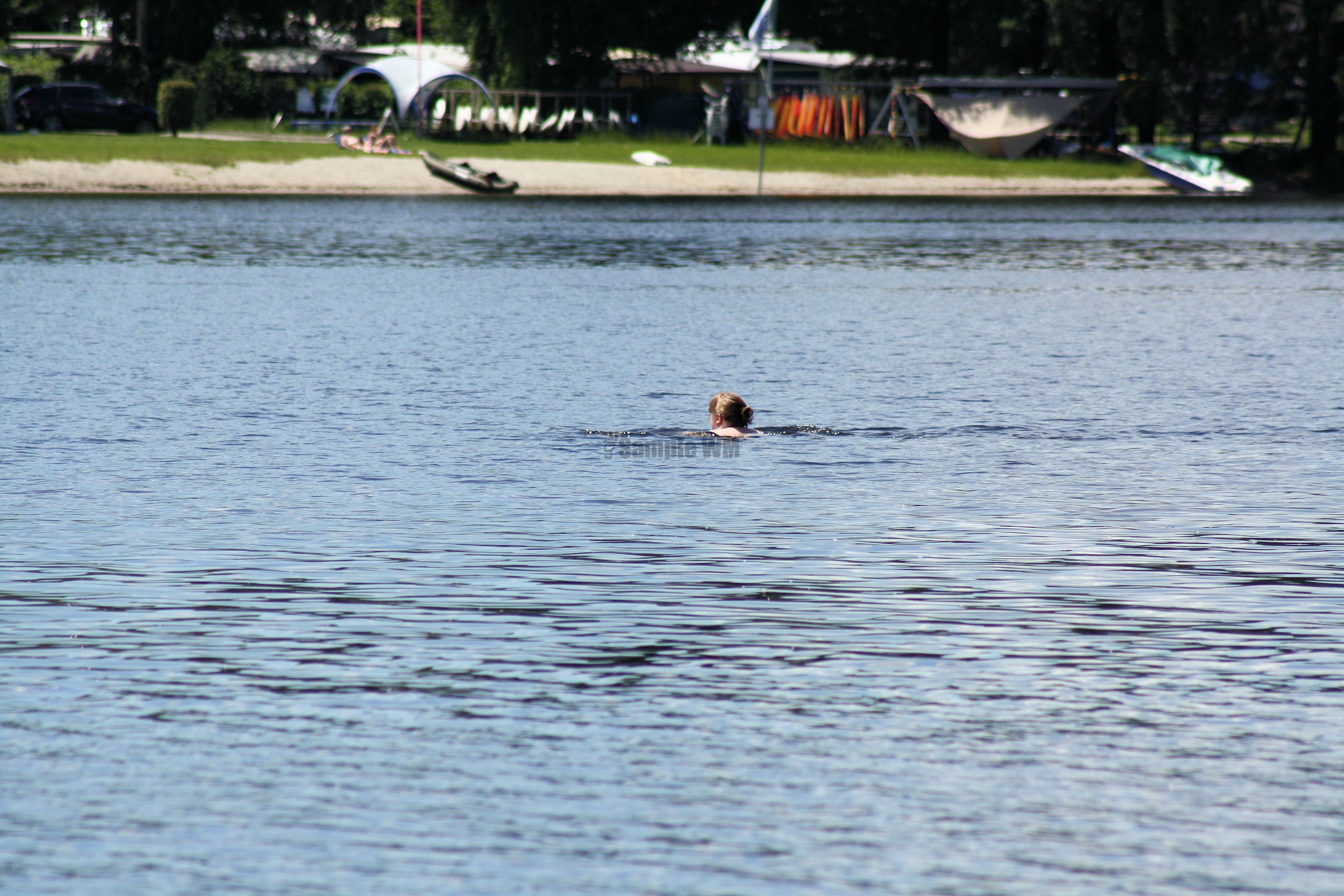 IMG_7463.jpg