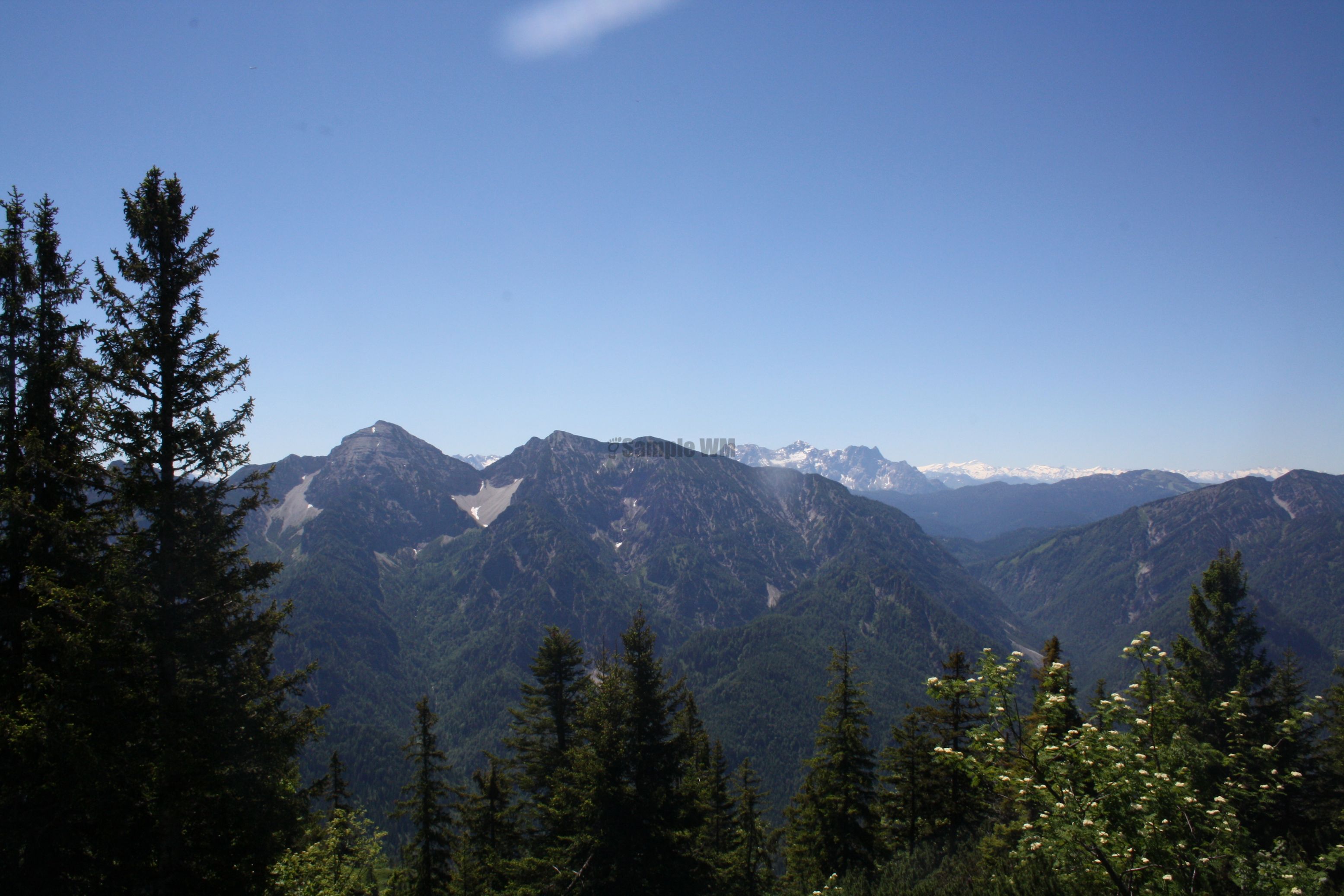IMG_7485.jpg