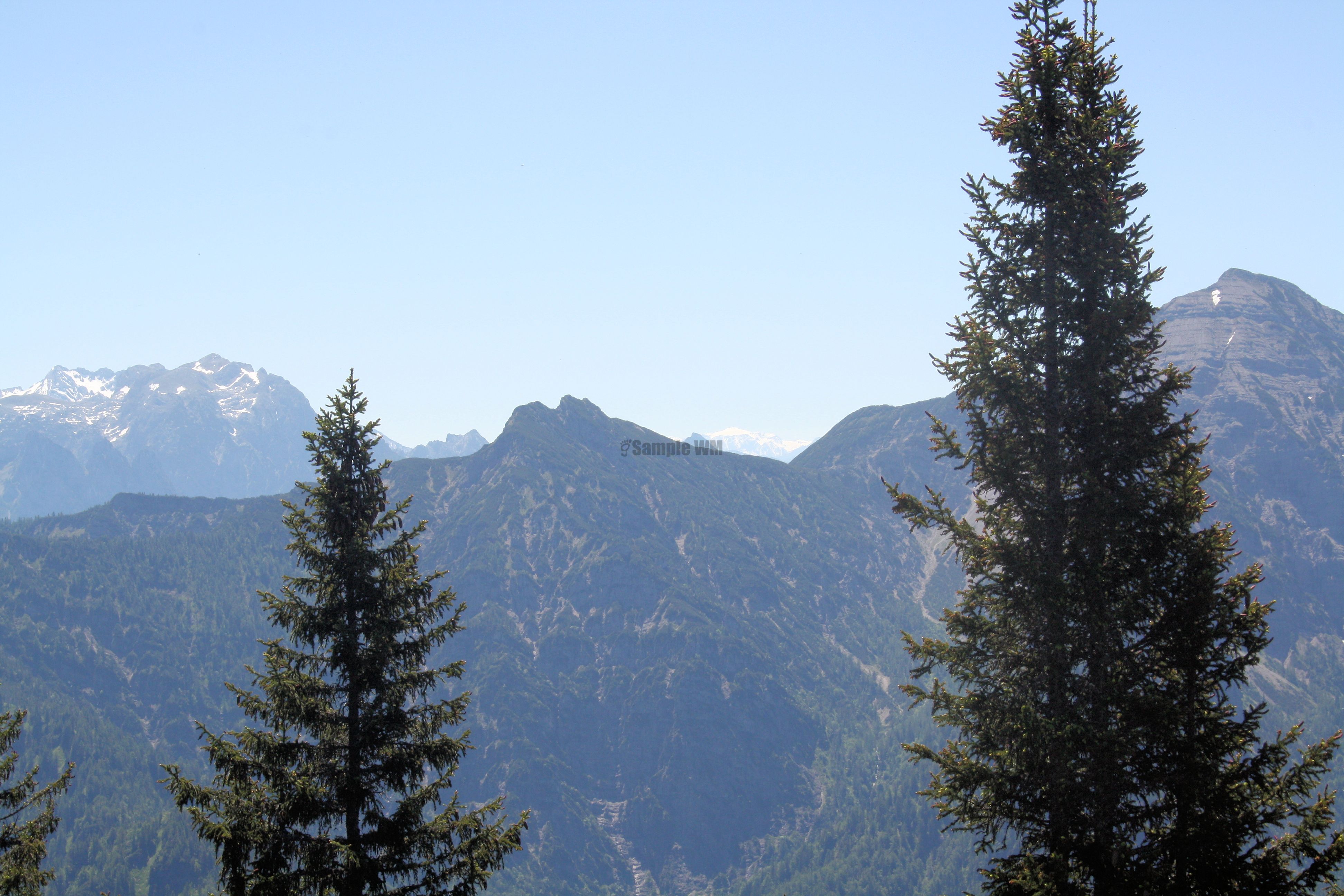 IMG_7494.jpg