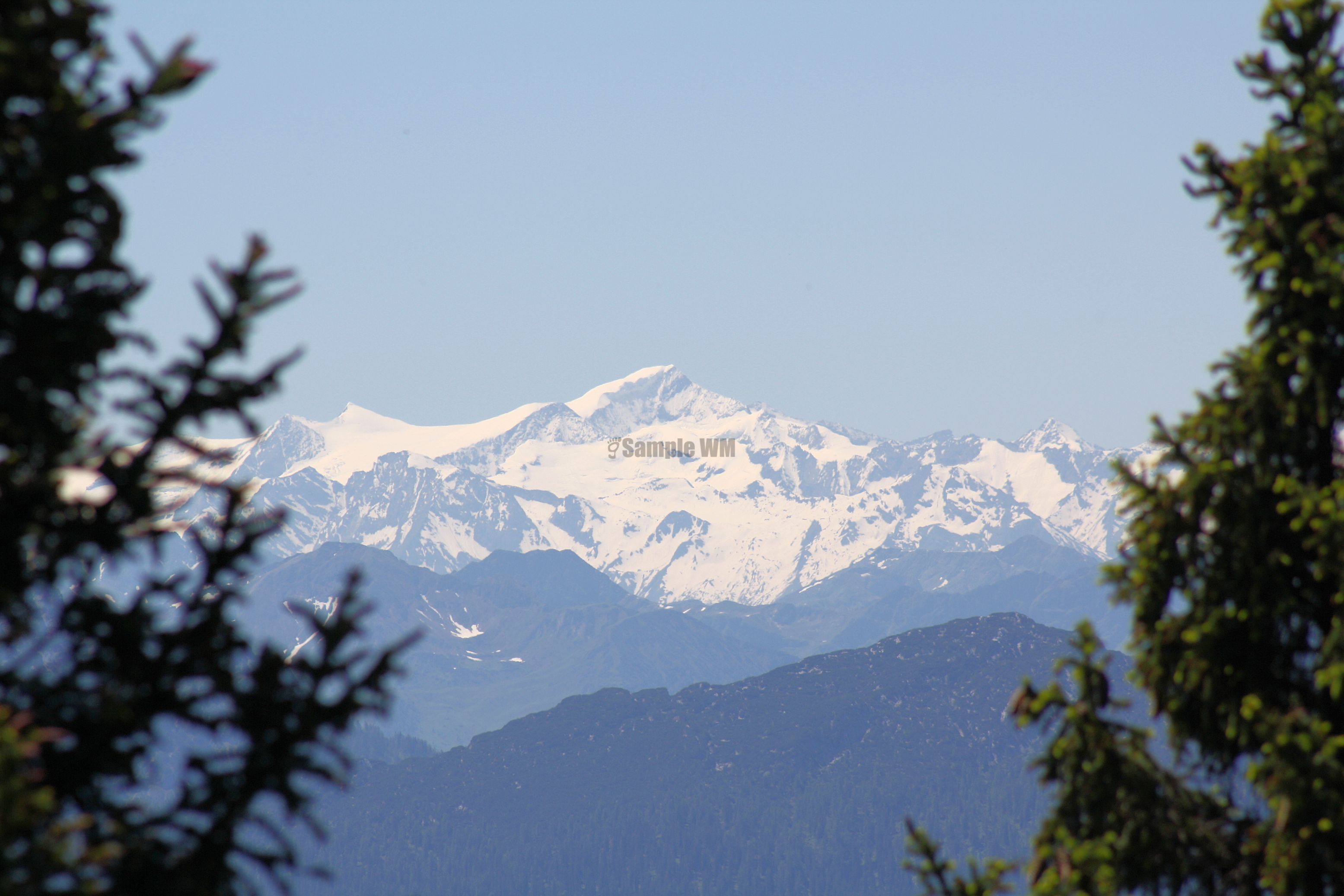 IMG_7497.jpg