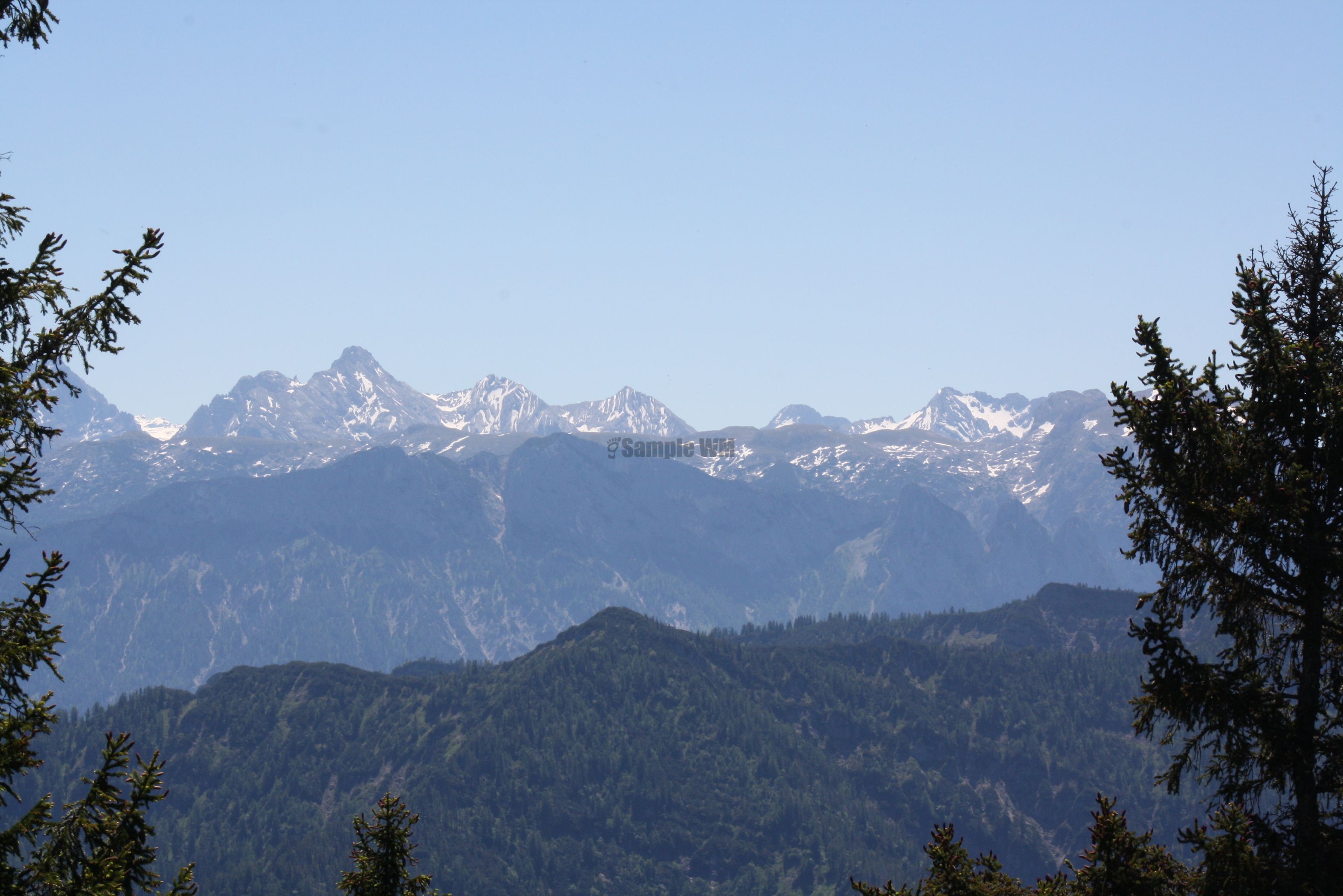 IMG_7500.jpg