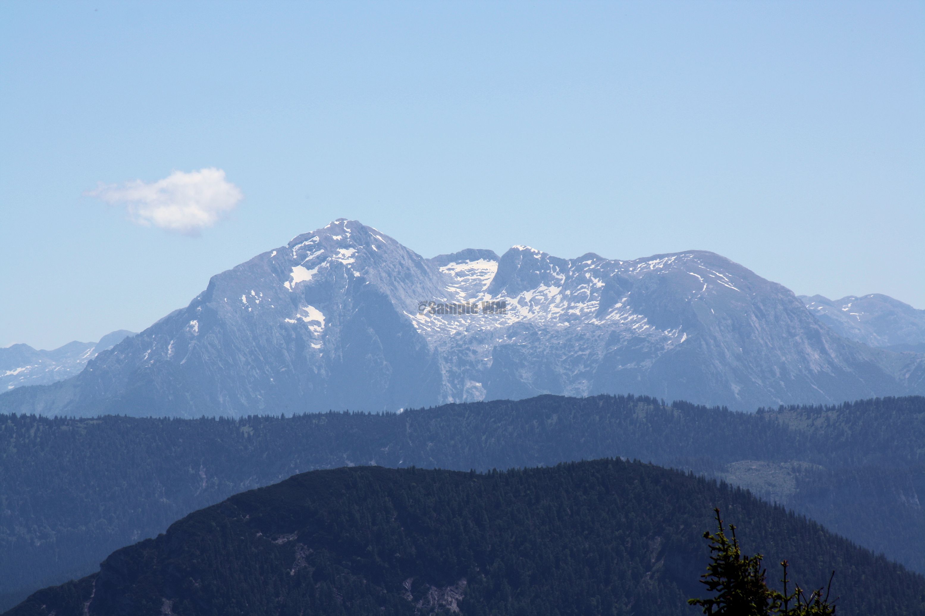 IMG_7509.jpg