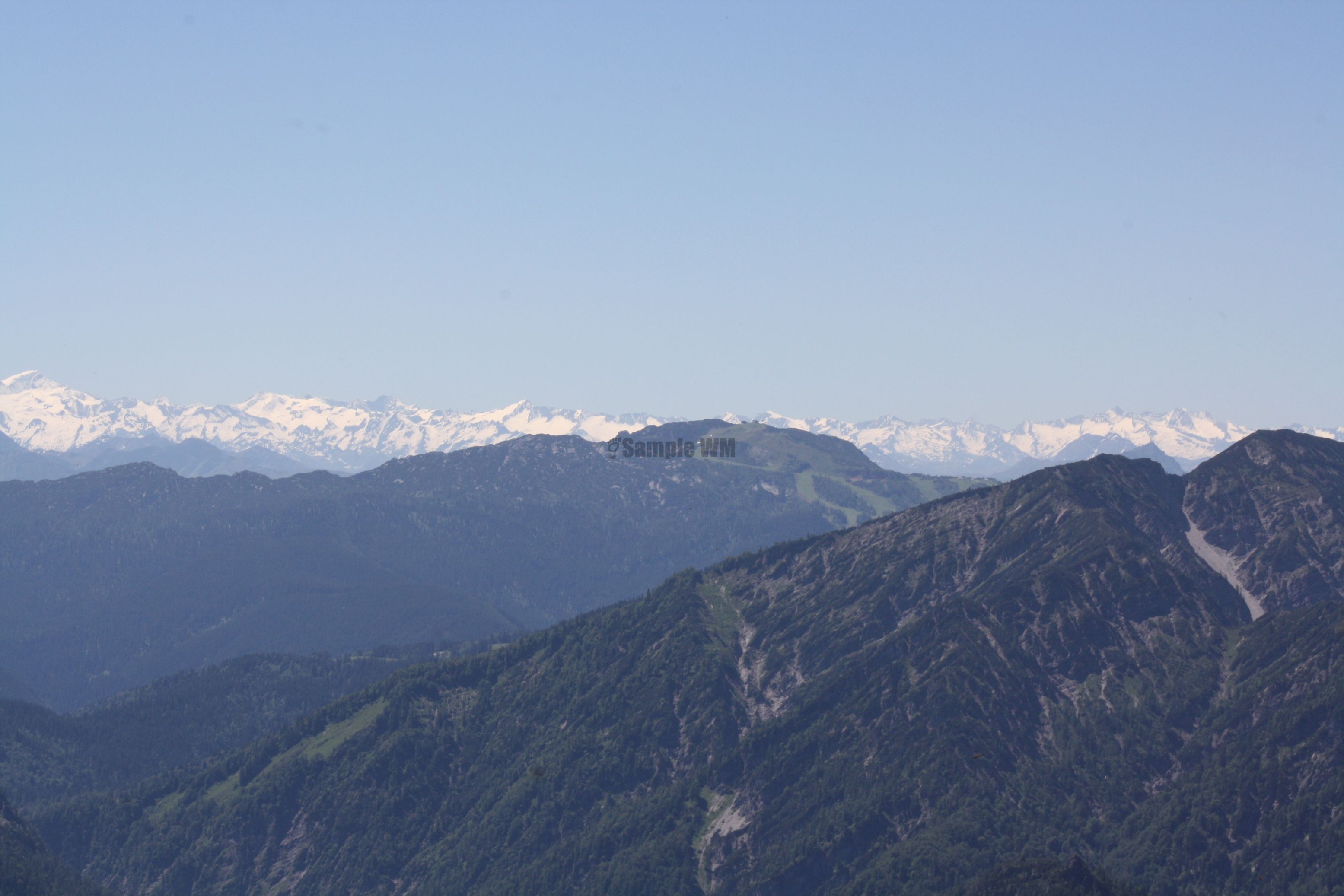 IMG_7510.jpg