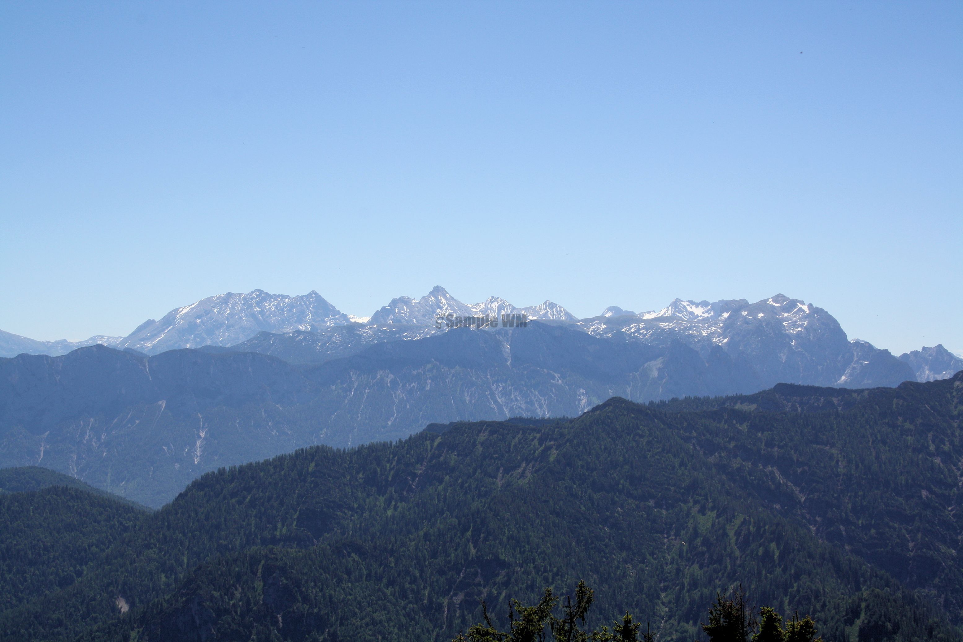 IMG_7518.jpg