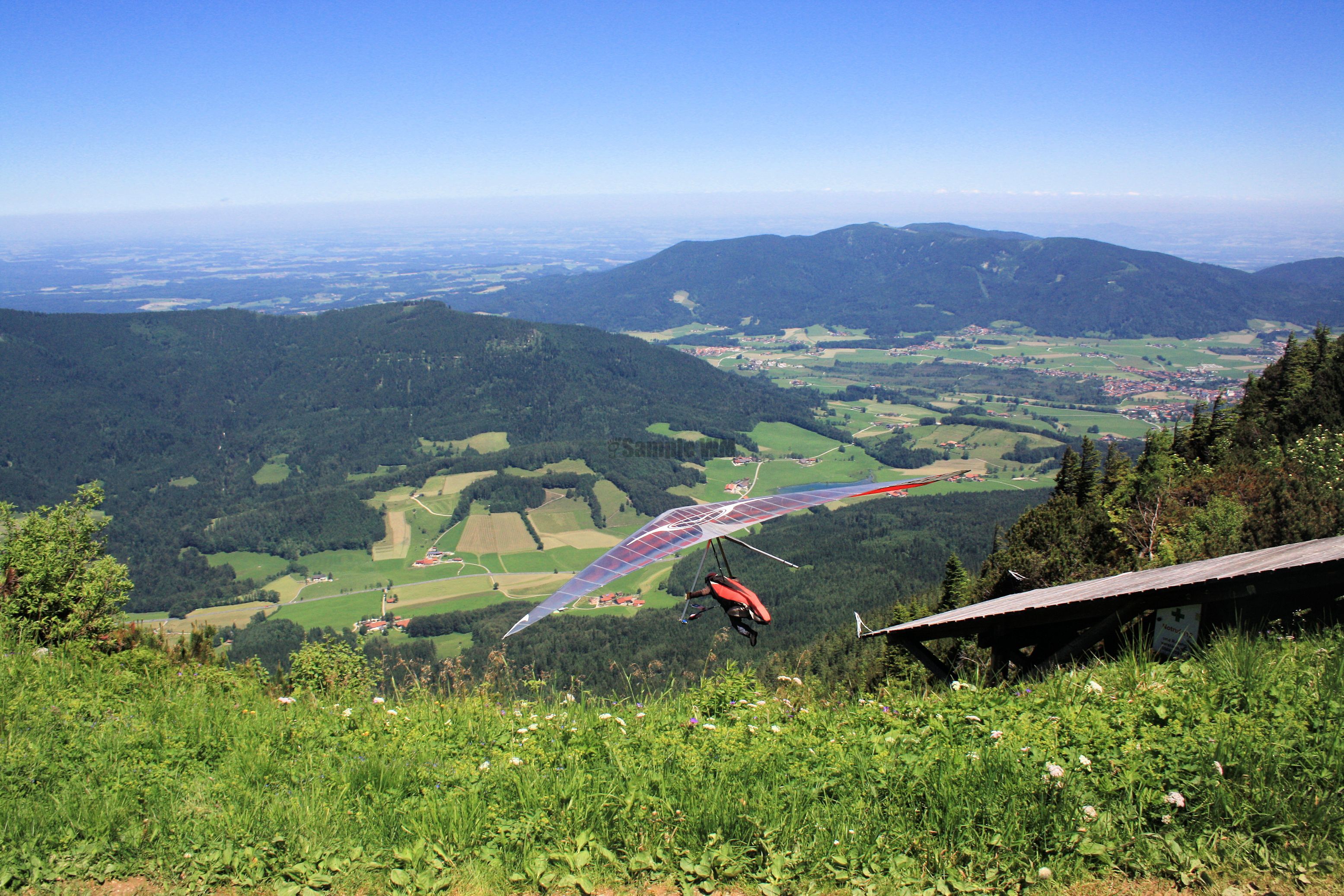 IMG_7535.jpg