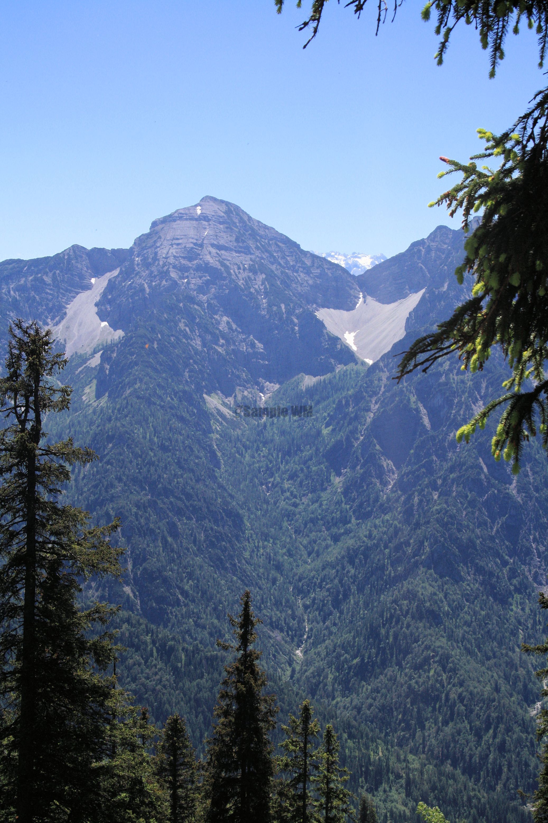 IMG_7539.jpg