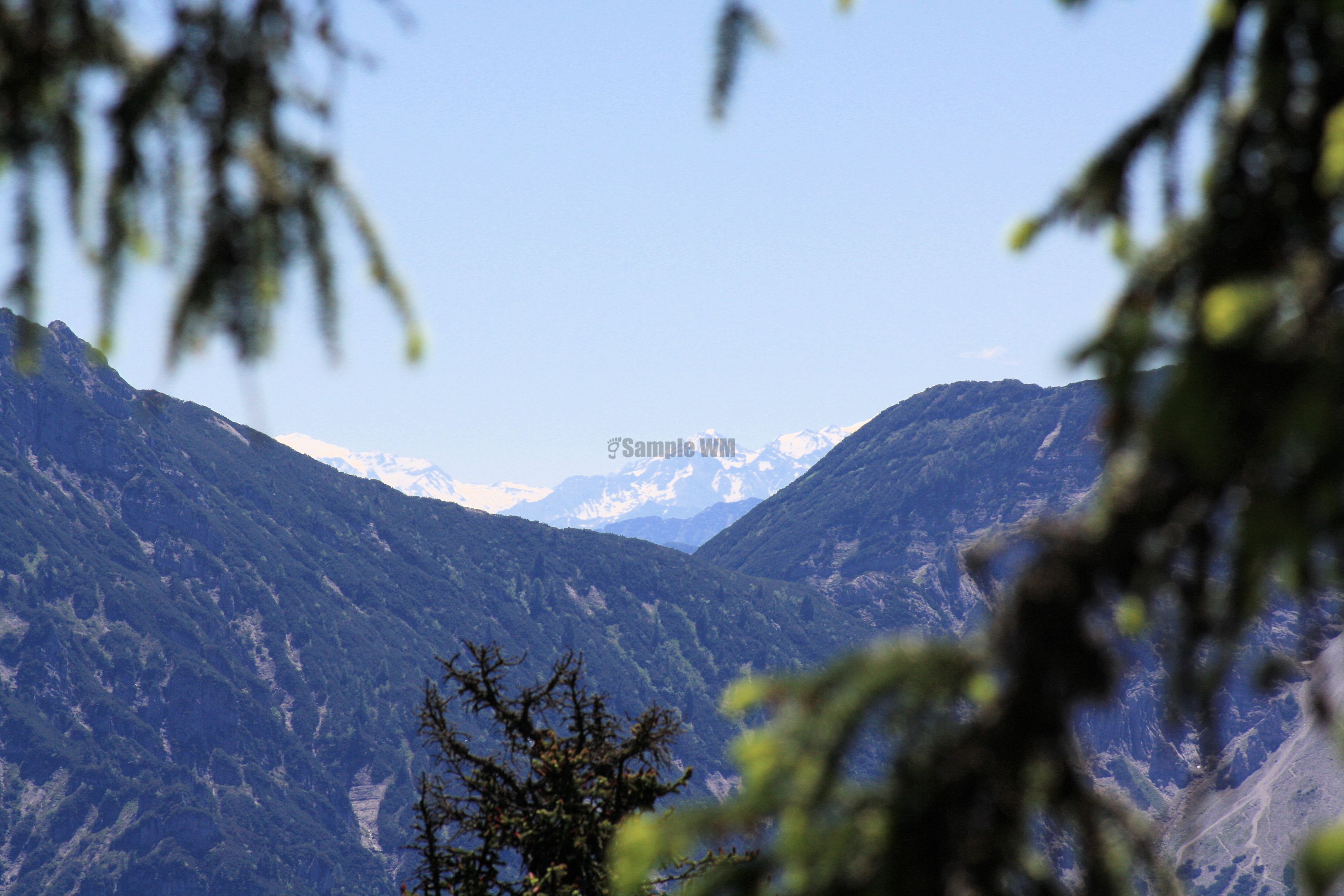 IMG_7541.jpg