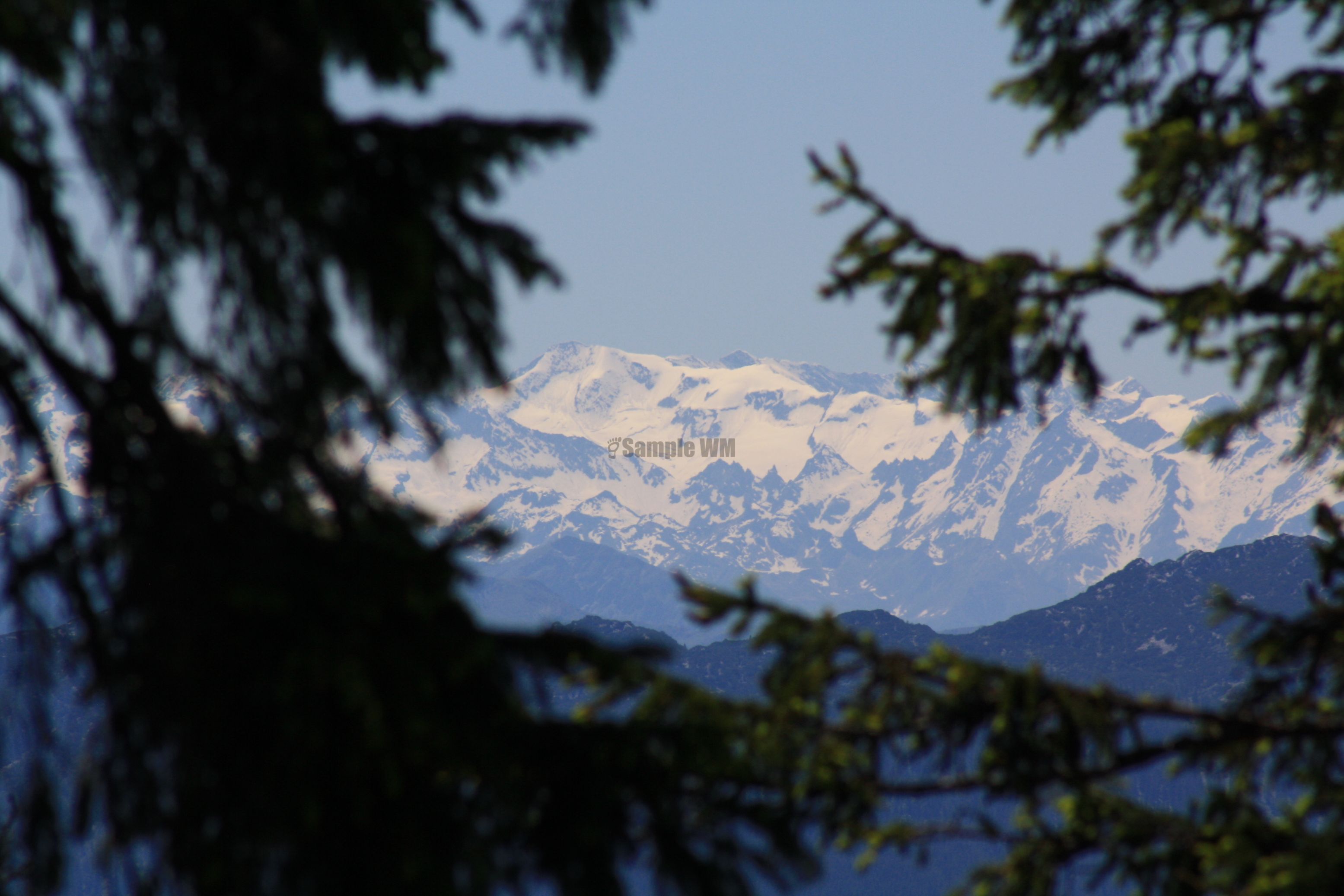 IMG_7543.jpg