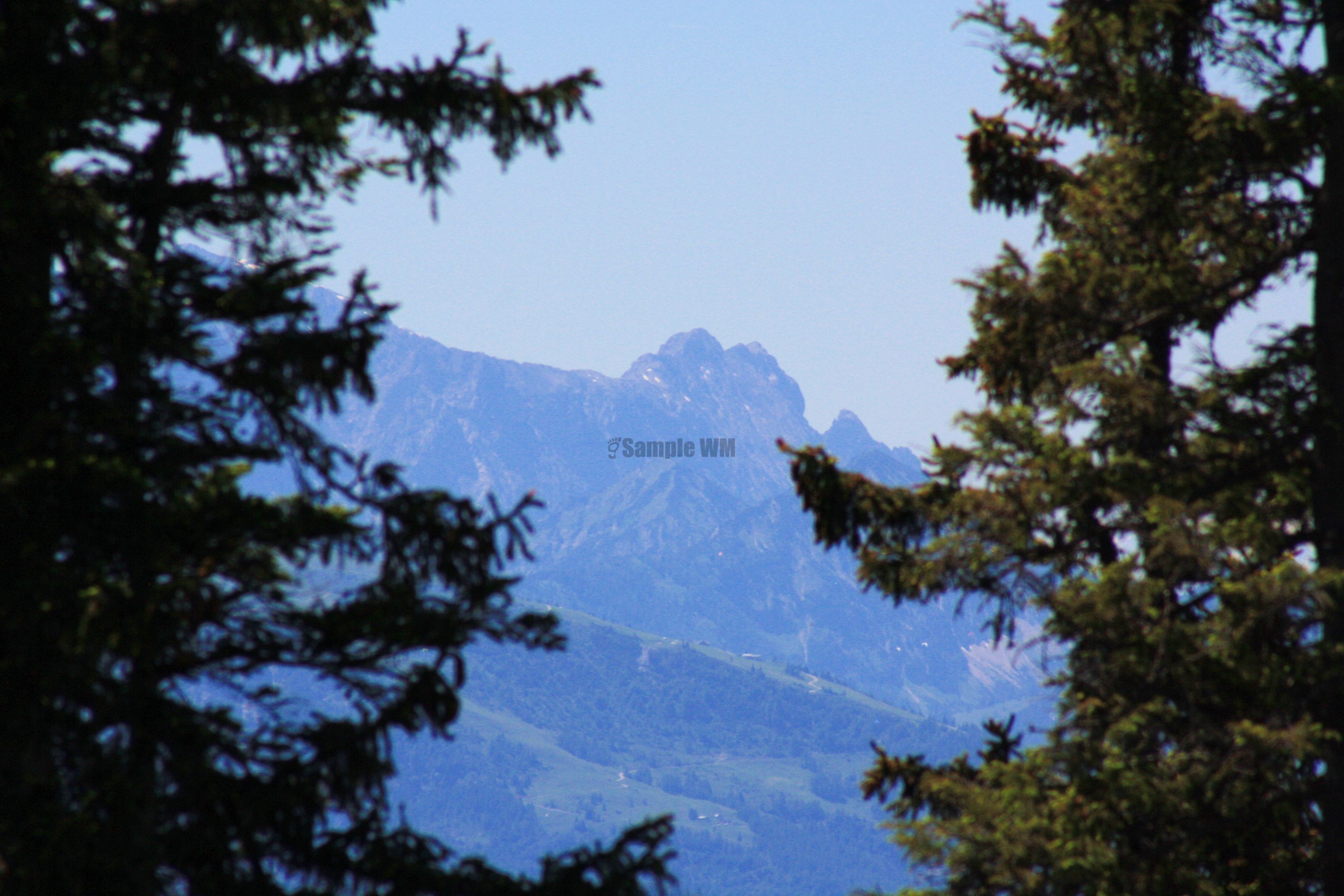 IMG_7546.jpg