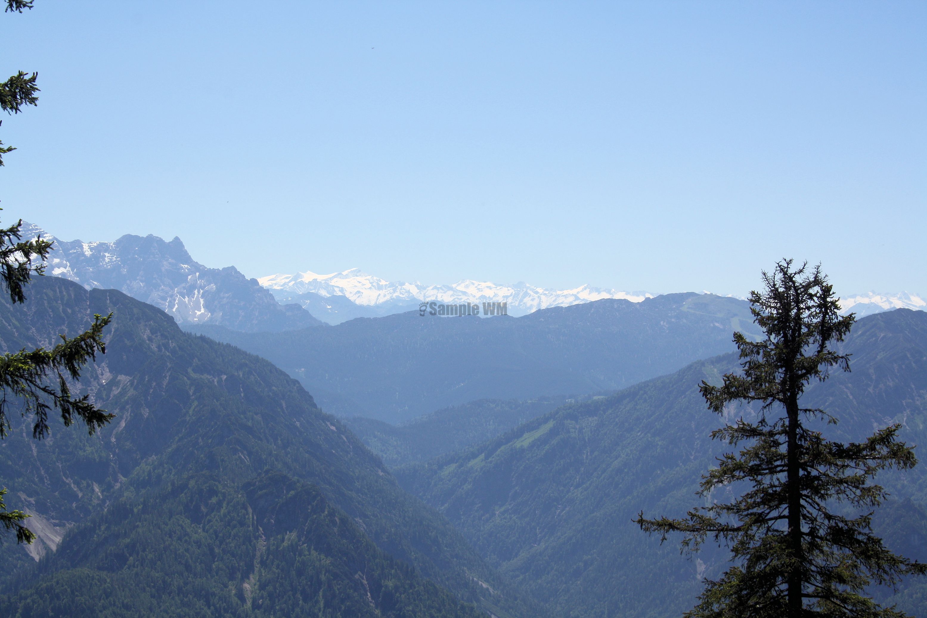 IMG_7549.jpg