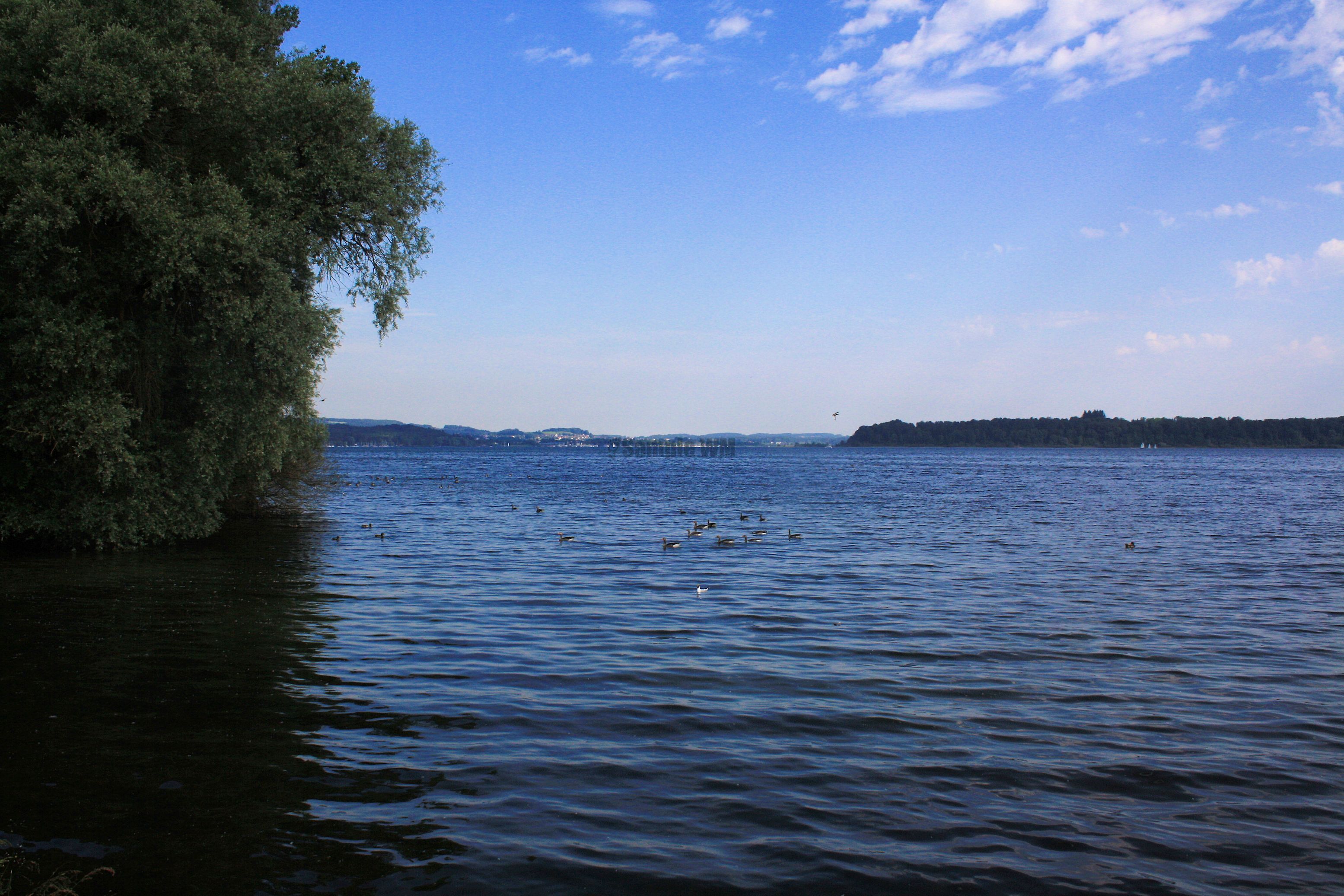 IMG_7618.jpg