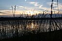 IMG_7411.jpg
