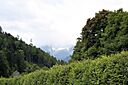 IMG_7427.jpg