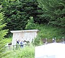 IMG_7433.jpg