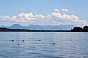 IMG_7468.jpg