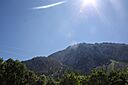 IMG_7479.jpg