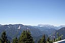 IMG_7486.jpg
