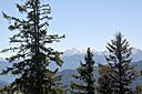 IMG_7488.jpg