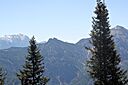 IMG_7494.jpg