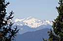 IMG_7497.jpg