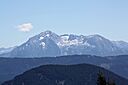 IMG_7509.jpg