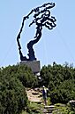 IMG_7513.jpg