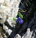 IMG_7524.jpg