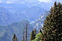 IMG_7525.jpg