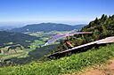 IMG_7533.jpg