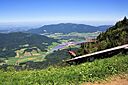 IMG_7534.jpg
