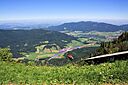 IMG_7535.jpg
