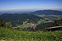 IMG_7536.jpg