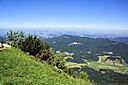 IMG_7537.jpg