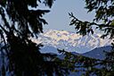 IMG_7543.jpg