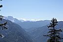 IMG_7549.jpg