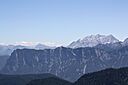 IMG_7562.jpg
