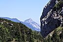 IMG_7564.jpg