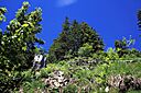IMG_7565.jpg