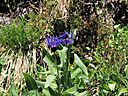 IMG_7566.jpg