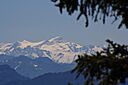 IMG_7575.jpg
