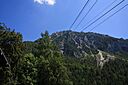 IMG_7582.jpg