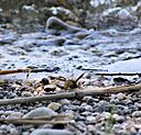 IMG_7597.jpg