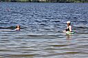 IMG_7598.jpg