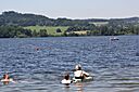 IMG_7608.jpg