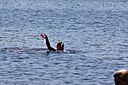 IMG_7613.jpg