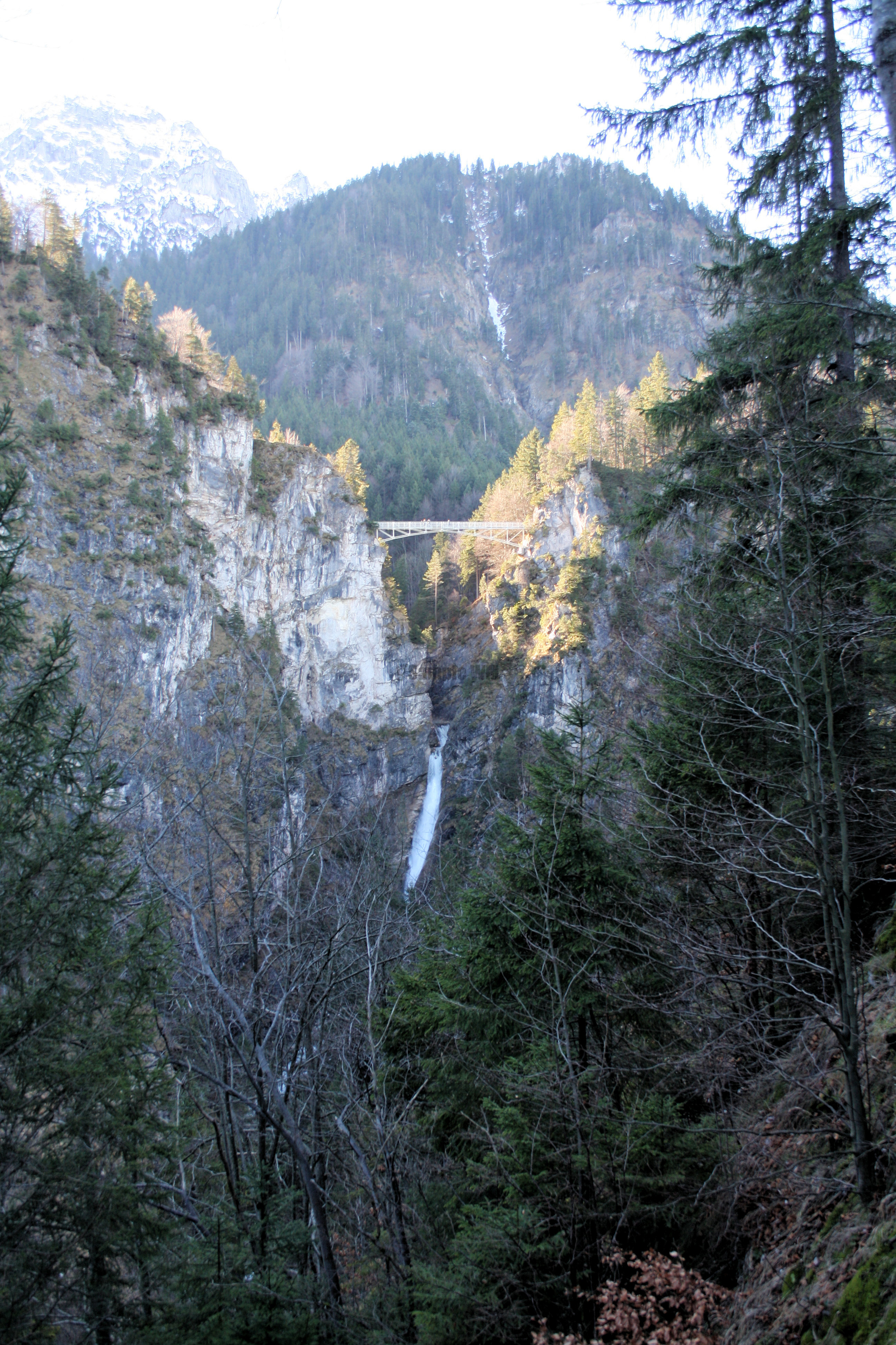 151.JPG