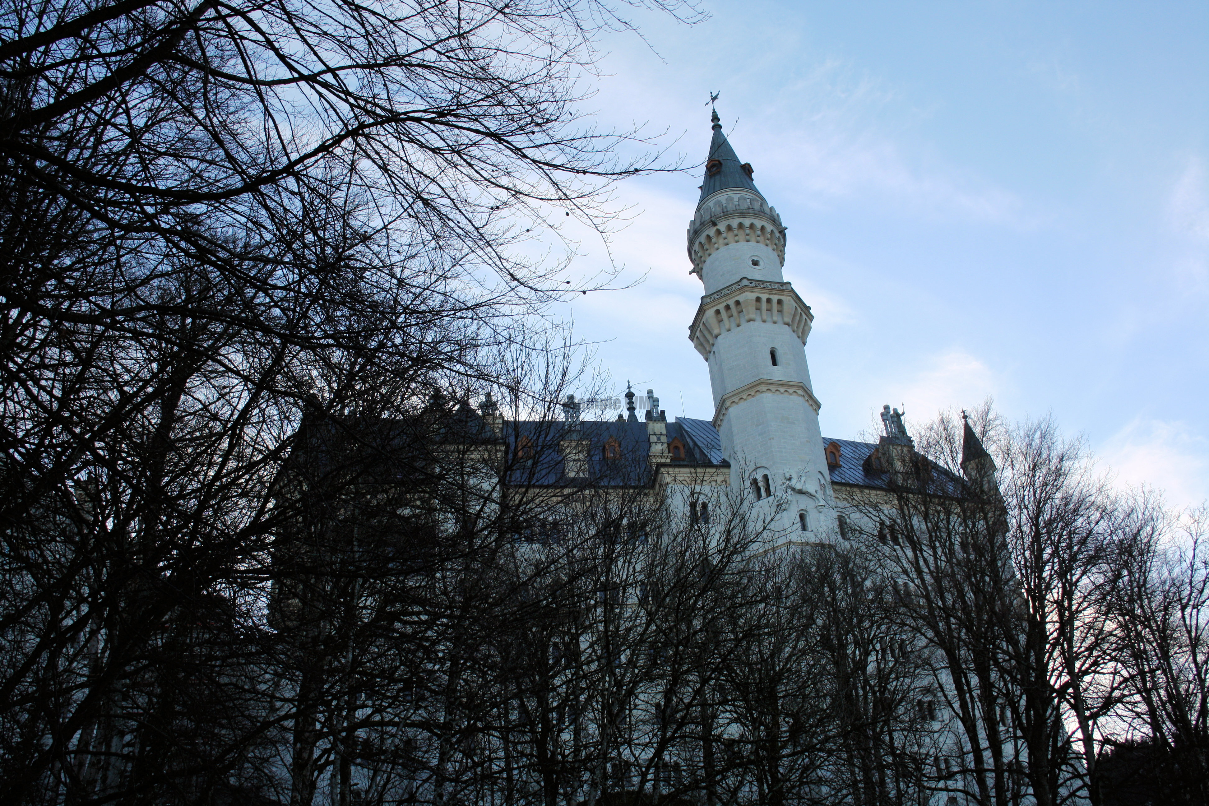174.JPG