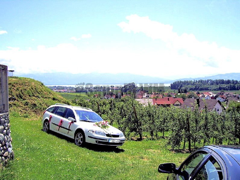 100_0012.jpg